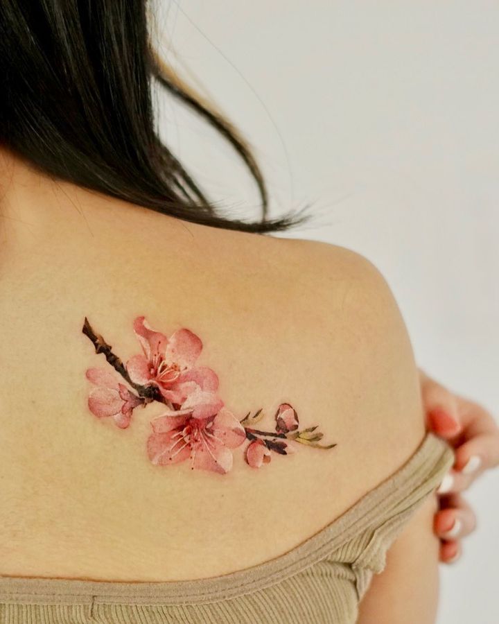 Pink Japanese Cherry Blossom Tattoo on Shoulder