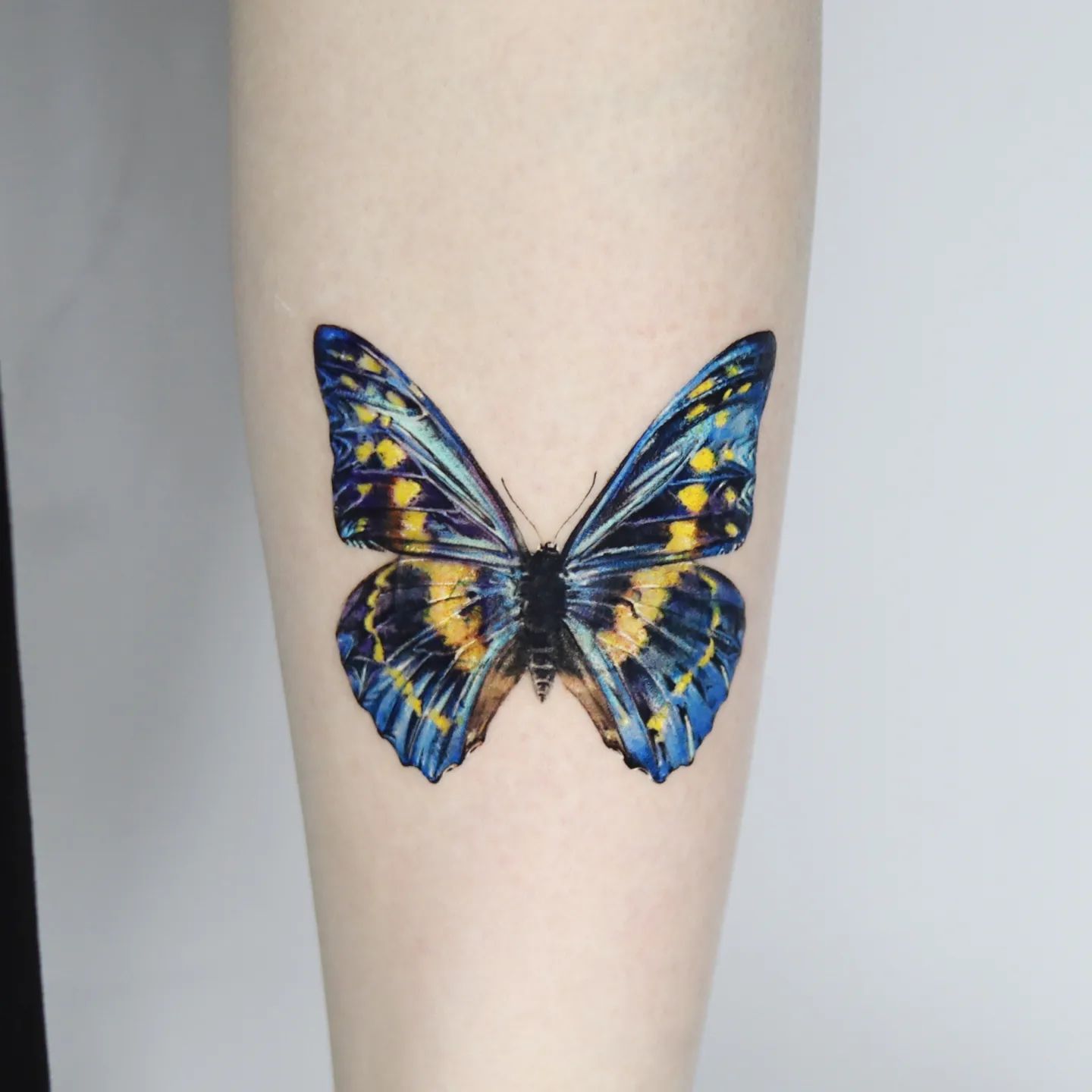 Blue and yellow butterfly tattoo
