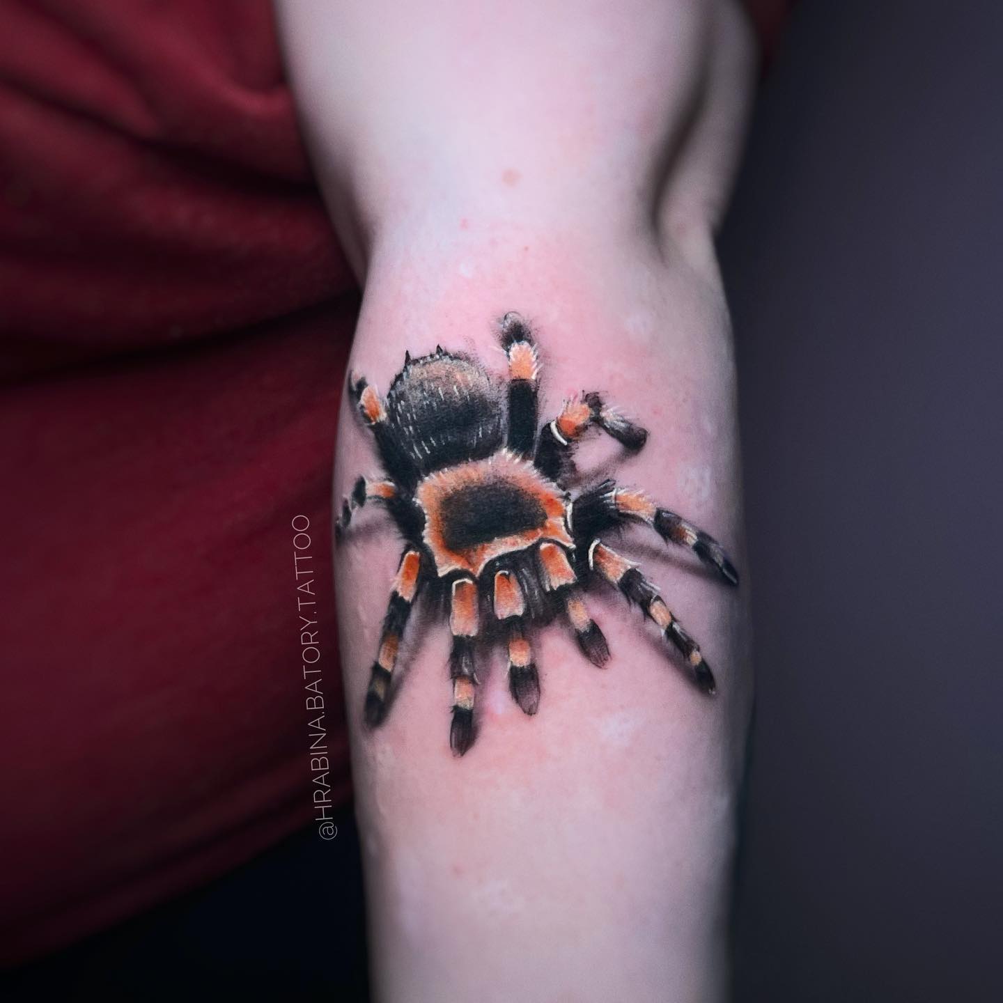 Colorful 3D Spider Tattoo on Arm